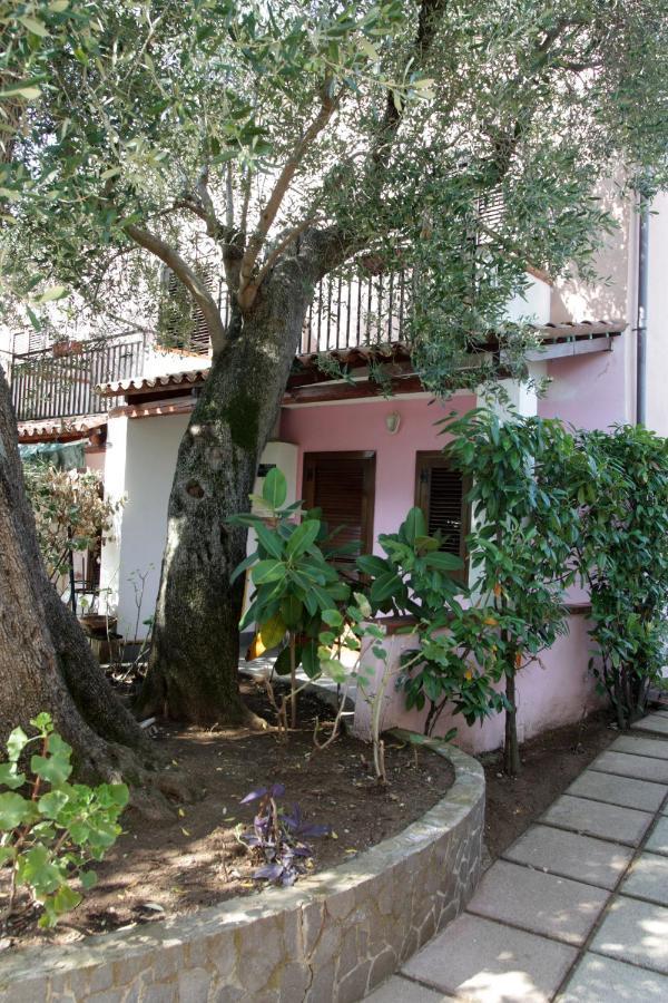 Hotel Santaclara Camerota Eksteriør billede